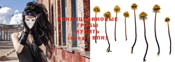 дурь Верхний Тагил